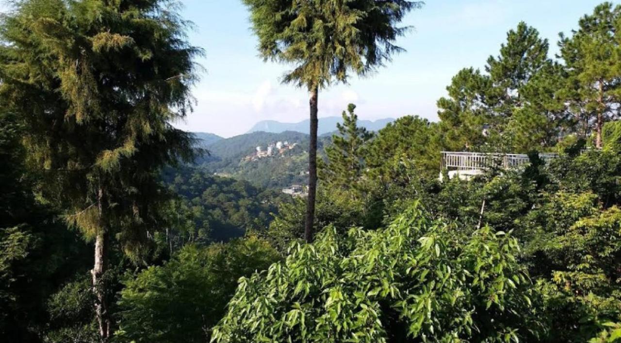Villa Dieu Thong - Secrect Garden, view săn mây và núi Da Lat Esterno foto