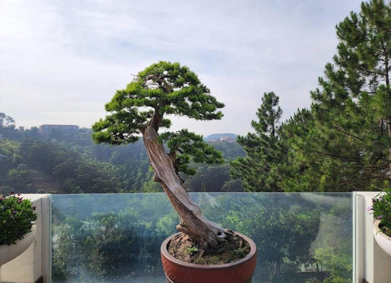 Villa Dieu Thong - Secrect Garden, view săn mây và núi Da Lat Esterno foto
